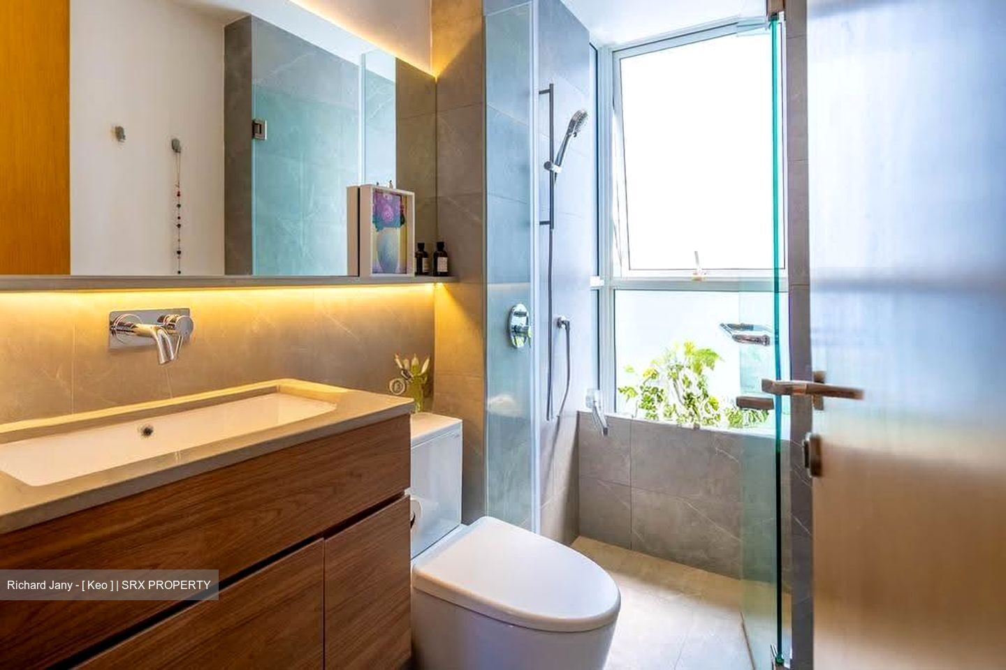 The Regency At Tiong Bahru (D3), Condominium #630457871